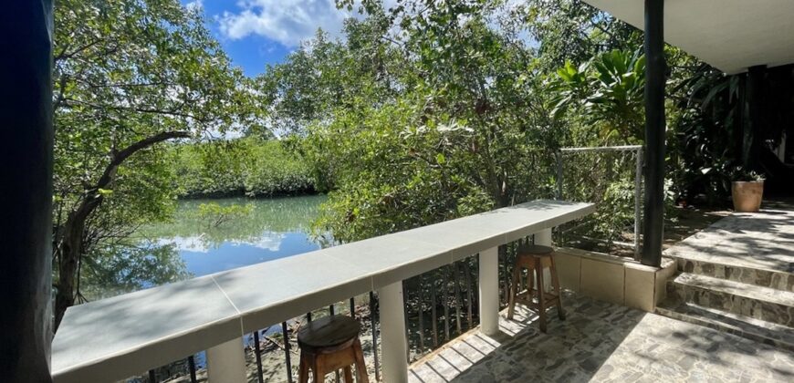Two House Property Puerto Jimenez Waterfront