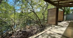 Two House Property Puerto Jimenez Waterfront