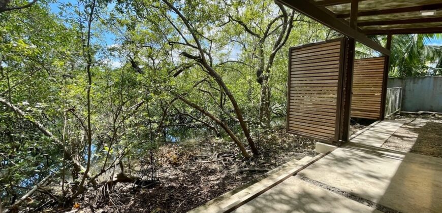 Two House Property Puerto Jimenez Waterfront