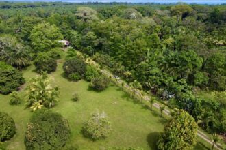 Beautiful Property Near Golfo Dulce Osa Peninsula