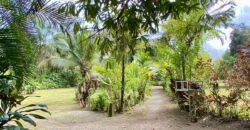 Puerto Jimenez Two House Property Near Gulf Beach