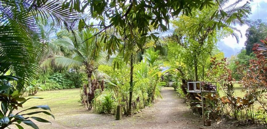 Puerto Jimenez Two House Property Near Gulf Beach
