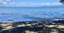 Puerto Jimenez Two House Property Near Gulf Beach