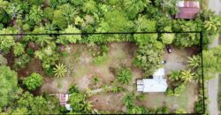 Puerto Jimenez Two House Property Near Gulf Beach