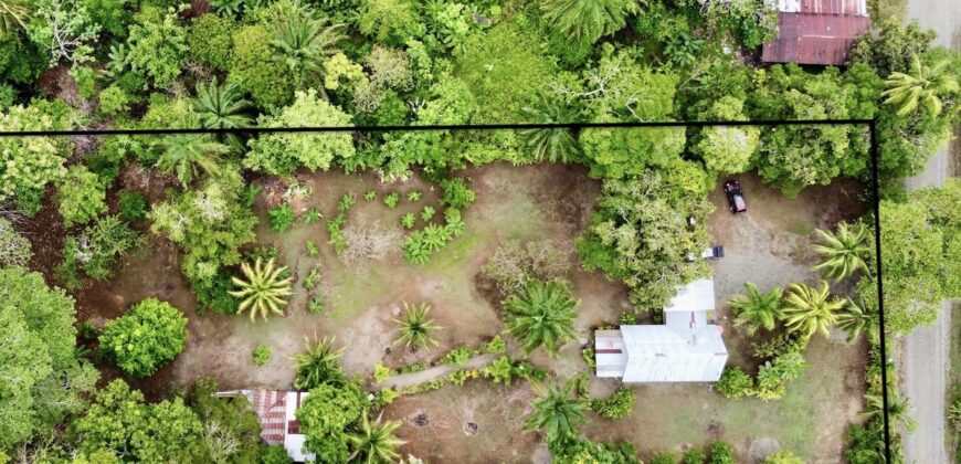 Puerto Jimenez Two House Property Near Gulf Beach