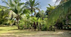 Puerto Jimenez Two House Property Near Gulf Beach