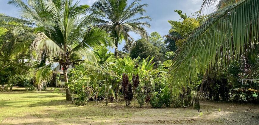 Puerto Jimenez Two House Property Near Gulf Beach