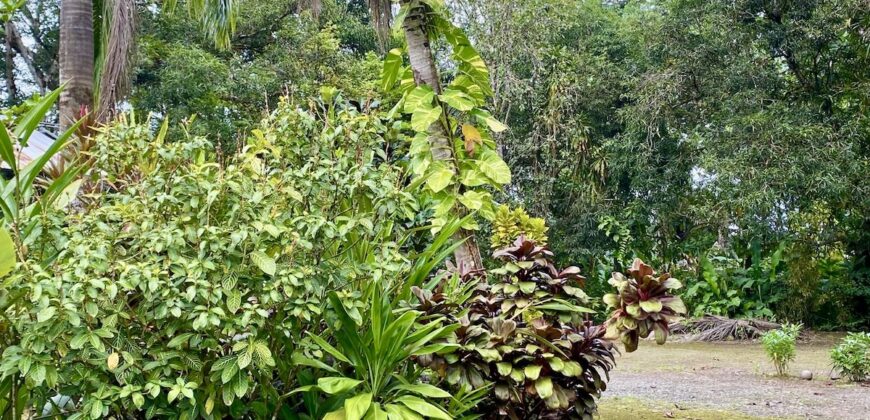 Puerto Jimenez Two House Property Near Gulf Beach