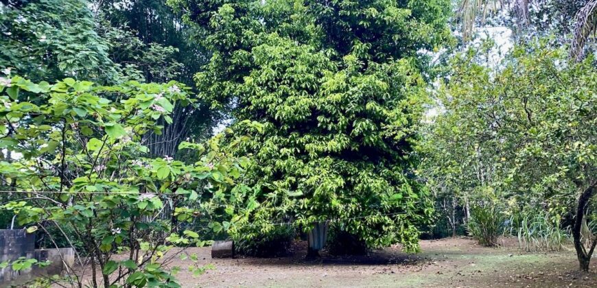 Puerto Jimenez Two House Property Near Gulf Beach