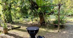 Puerto Jimenez Two House Property Near Gulf Beach