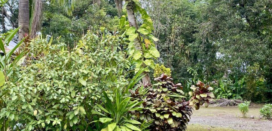 Puerto Jimenez Two House Property Near Gulf Beach