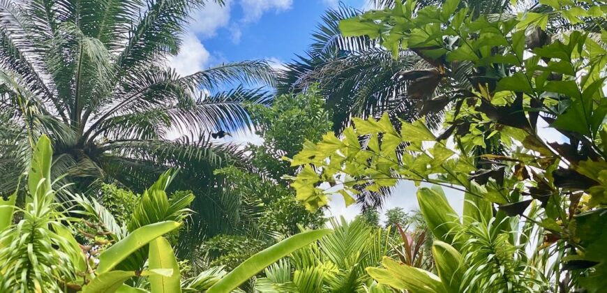 Puerto Jimenez Two House Property Near Gulf Beach