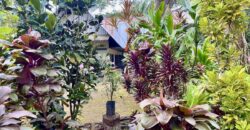 Puerto Jimenez Two House Property Near Gulf Beach