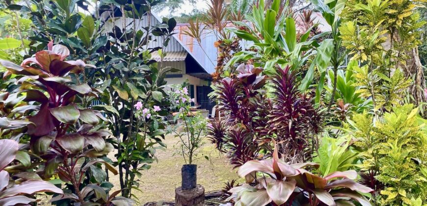 Puerto Jimenez Two House Property Near Gulf Beach