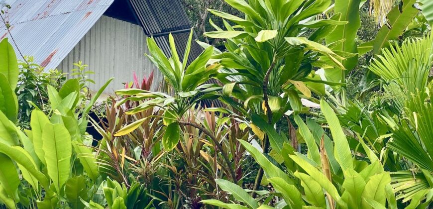 Puerto Jimenez Two House Property Near Gulf Beach