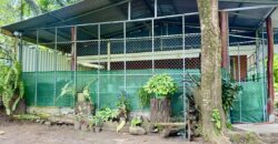 Puerto Jimenez Two House Property Near Gulf Beach