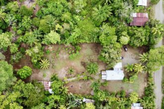 Puerto Jimenez Two House Property Near Gulf Beach