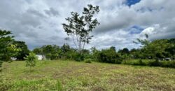 Large Building Lot Near Puerto Jiménez