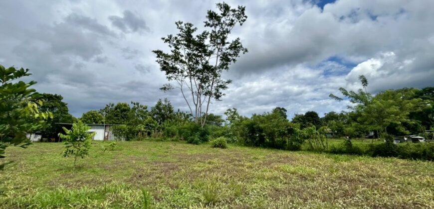 Large Building Lot Near Puerto Jiménez
