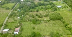 Large Building Lot Near Puerto Jiménez