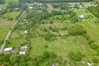 Large Building Lot Near Puerto Jiménez