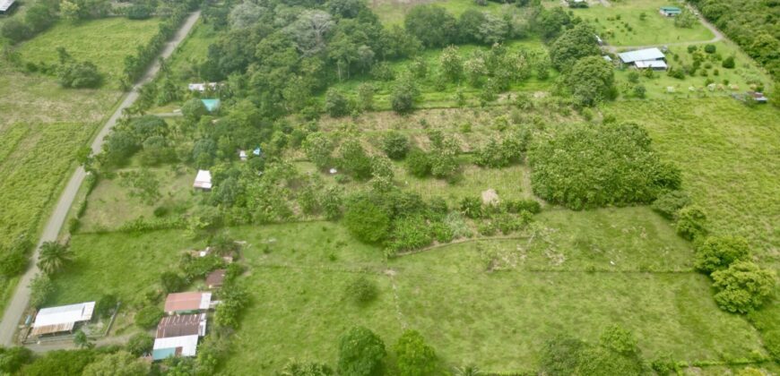 Large Building Lot Near Puerto Jiménez