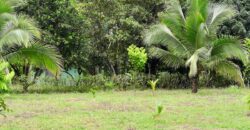 Large Building Lot Near Puerto Jiménez