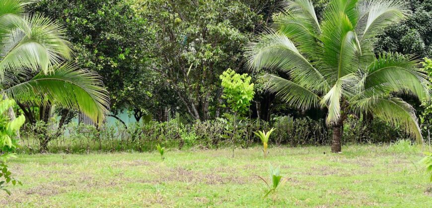Large Building Lot Near Puerto Jiménez