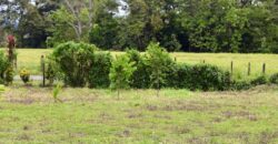 Large Building Lot Near Puerto Jiménez