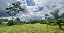 Large Building Lot Near Puerto Jiménez
