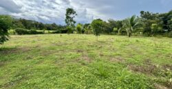 Large Building Lot Near Puerto Jiménez