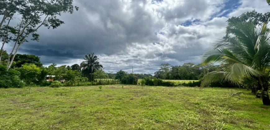 Large Building Lot Near Puerto Jiménez