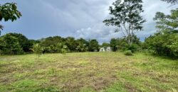 Large Building Lot Near Puerto Jiménez