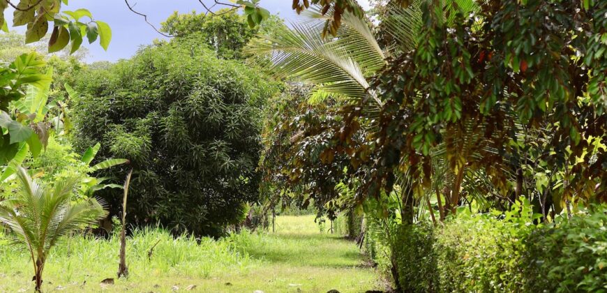 Large Building Lot Near Puerto Jiménez
