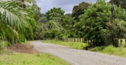 Large Building Lot Near Puerto Jiménez
