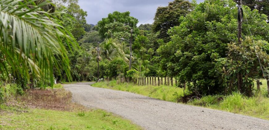 Large Building Lot Near Puerto Jiménez