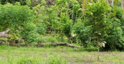 Large Building Lot Near Puerto Jiménez