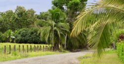 Large Building Lot Near Puerto Jiménez