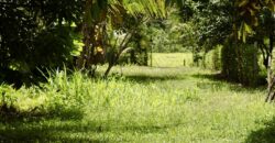Large Building Lot Near Puerto Jiménez