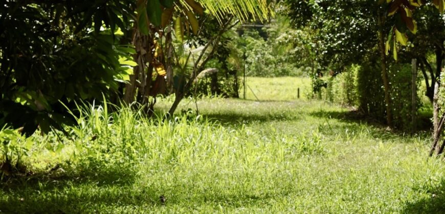 Large Building Lot Near Puerto Jiménez