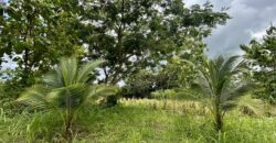 Large Building Lot Near Puerto Jiménez