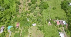 Large Building Lot Near Puerto Jiménez