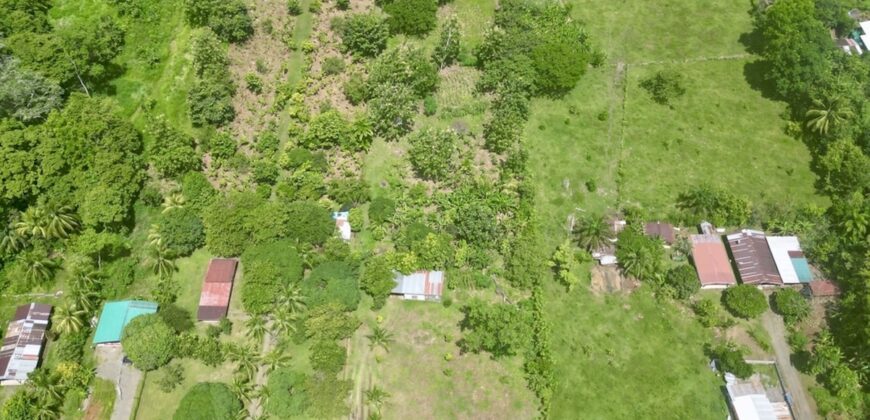 Large Building Lot Near Puerto Jiménez