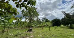 Large Building Lot Near Puerto Jiménez
