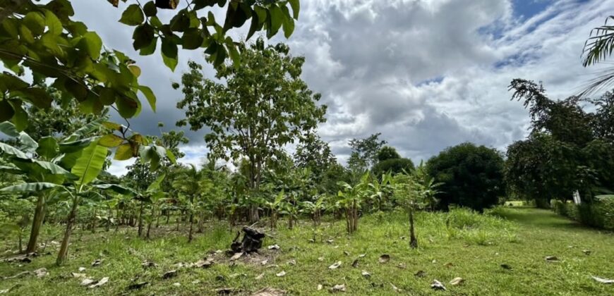 Large Building Lot Near Puerto Jiménez