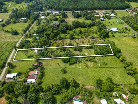 Large Building Lot Near Puerto Jiménez