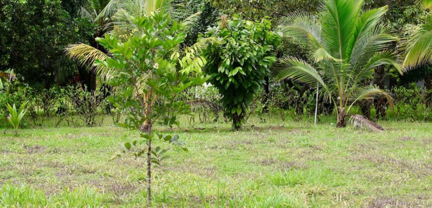 Large Building Lot Near Puerto Jiménez