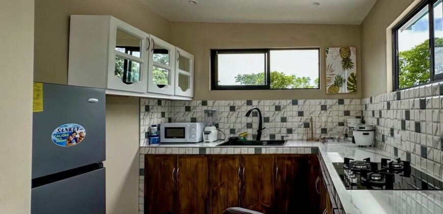 2-Bedroom Home with 3 Fully Furnished Apartments In Puerto Jimenez