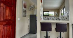 2-Bedroom Home with 3 Fully Furnished Apartments In Puerto Jimenez