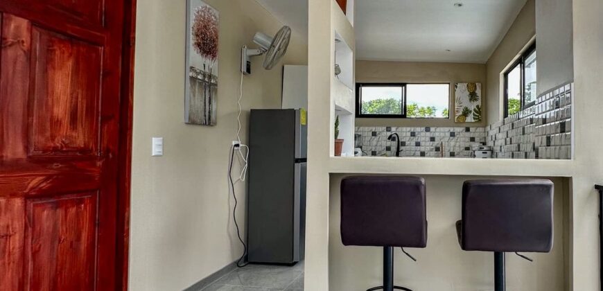 2-Bedroom Home with 3 Fully Furnished Apartments In Puerto Jimenez